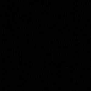 Meet your Posher, Lashonda